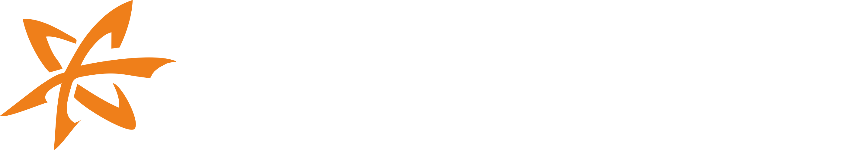 elektronenkraft